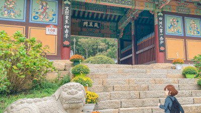 부산 근교 가볼만한곳 불광산 자락의 조계종 기장 장안사